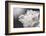 White Beauty-Philippe Sainte-Laudy-Framed Photographic Print