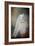 White Beauty-Jai Johnson-Framed Giclee Print