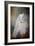 White Beauty-Jai Johnson-Framed Giclee Print