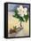 White Begonia and Rosehips-Christopher Ryland-Framed Premier Image Canvas