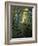 White Birch and Yellow Leaves in the White Mountains, New Hampshire, USA-Jerry & Marcy Monkman-Framed Photographic Print