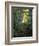 White Birch and Yellow Leaves in the White Mountains, New Hampshire, USA-Jerry & Marcy Monkman-Framed Photographic Print