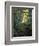 White Birch and Yellow Leaves in the White Mountains, New Hampshire, USA-Jerry & Marcy Monkman-Framed Photographic Print