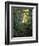 White Birch and Yellow Leaves in the White Mountains, New Hampshire, USA-Jerry & Marcy Monkman-Framed Photographic Print