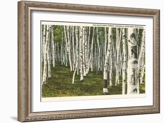 White Birch Forest, Wisconsin-null-Framed Art Print