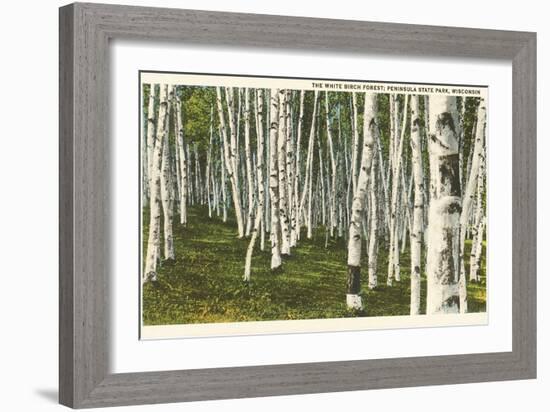 White Birch Forest, Wisconsin-null-Framed Art Print