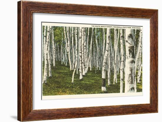 White Birch Forest, Wisconsin-null-Framed Art Print