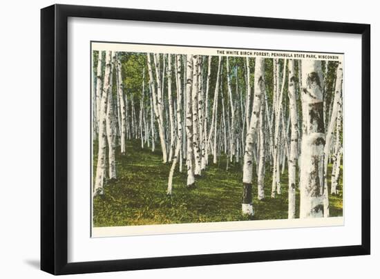 White Birch Forest, Wisconsin-null-Framed Art Print