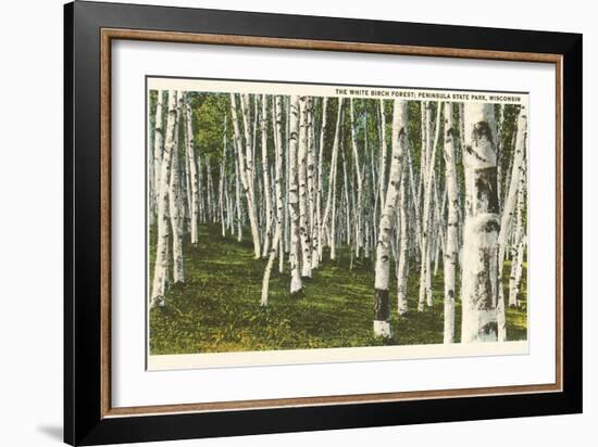 White Birch Forest, Wisconsin-null-Framed Art Print