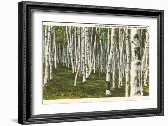 White Birch Forest, Wisconsin-null-Framed Art Print