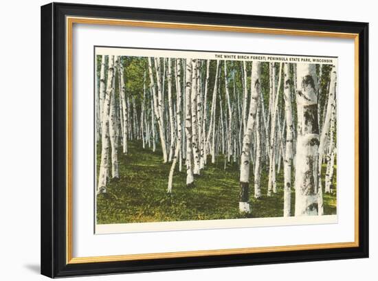 White Birch Forest, Wisconsin-null-Framed Art Print