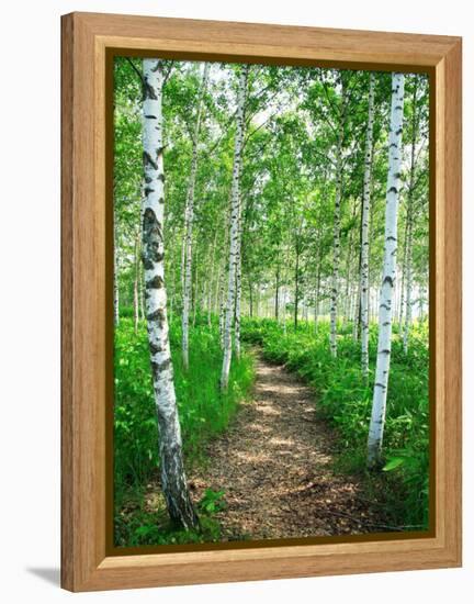 White Birch Lane-null-Framed Premier Image Canvas