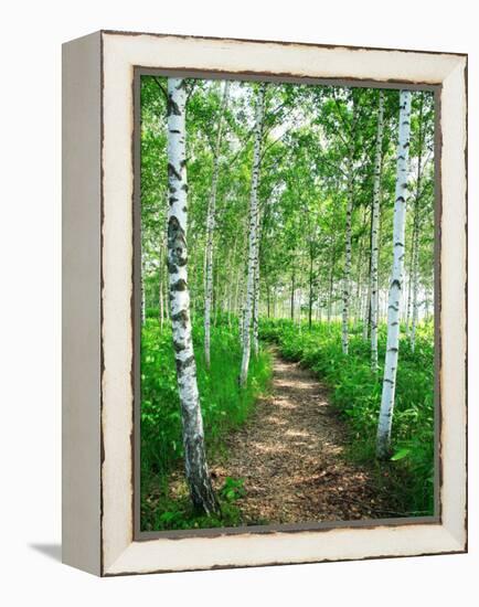 White Birch Lane-null-Framed Premier Image Canvas