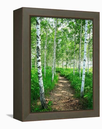 White Birch Lane-null-Framed Premier Image Canvas