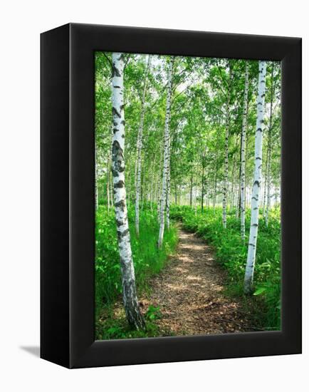 White Birch Lane-null-Framed Premier Image Canvas