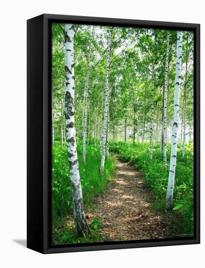 White Birch Lane-null-Framed Premier Image Canvas