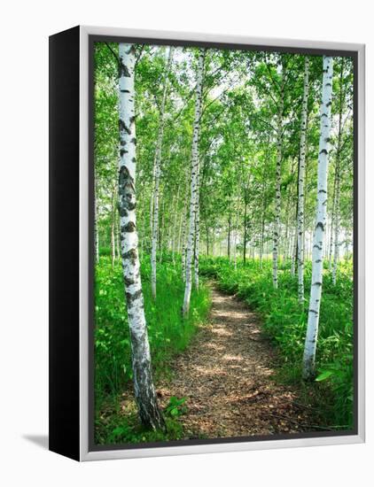 White Birch Lane-null-Framed Premier Image Canvas