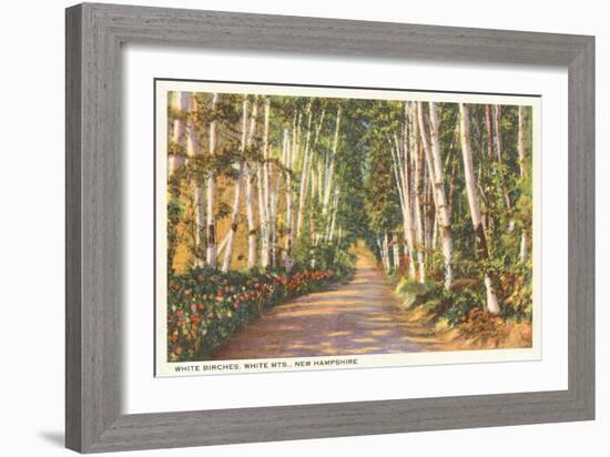 White Birches, New Hampshire-null-Framed Art Print