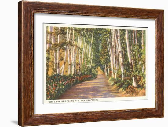 White Birches, New Hampshire-null-Framed Art Print