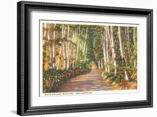 White Birches, New Hampshire-null-Framed Art Print