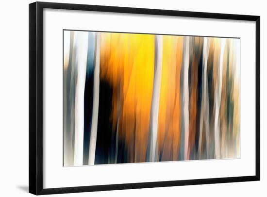 White Birches-Ursula Abresch-Framed Photographic Print