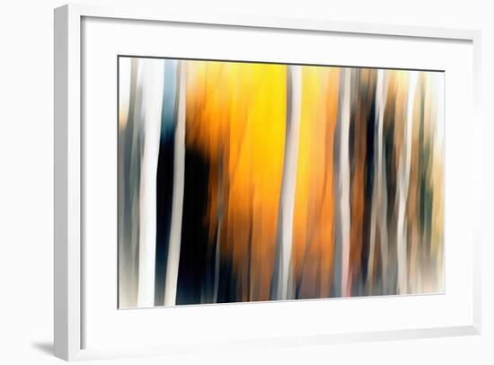 White Birches-Ursula Abresch-Framed Photographic Print