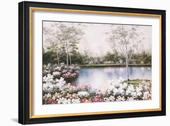 White Birches-Diane Romanello-Framed Art Print