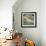 White Bird in Marsh-Tim Nyberg-Framed Giclee Print displayed on a wall