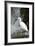 White Bird with Waterfall. Heron in the River. Bird in the Rock Habitat with Water. Wildlife Scene-Ondrej Prosicky-Framed Photographic Print