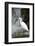White Bird with Waterfall. Heron in the River. Bird in the Rock Habitat with Water. Wildlife Scene-Ondrej Prosicky-Framed Photographic Print