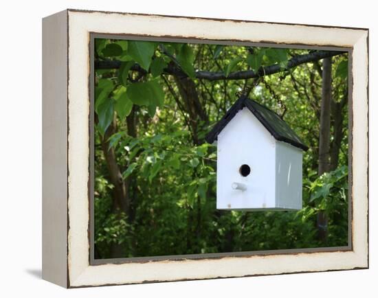 White Birdhouse-Anna Miller-Framed Premier Image Canvas
