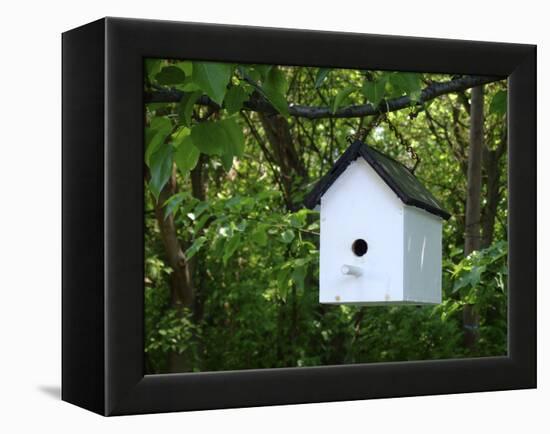 White Birdhouse-Anna Miller-Framed Premier Image Canvas