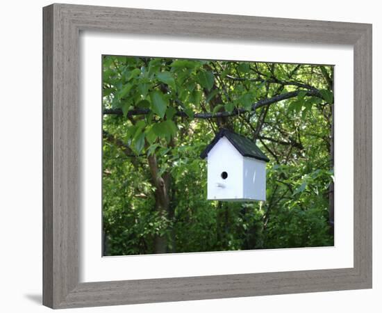 White Birdhouse-Anna Miller-Framed Photographic Print