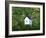 White Birdhouse-Anna Miller-Framed Photographic Print