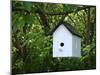 White Birdhouse-Anna Miller-Mounted Photographic Print