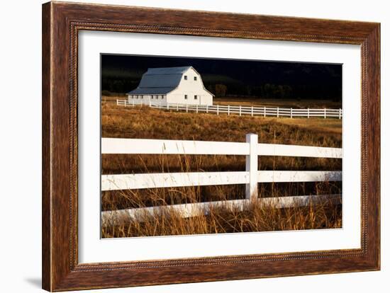 White Bitterroot Barn-Jason Savage-Framed Art Print