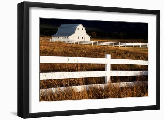 White Bitterroot Barn-Jason Savage-Framed Art Print