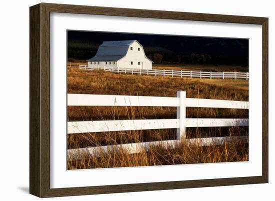 White Bitterroot Barn-Jason Savage-Framed Art Print