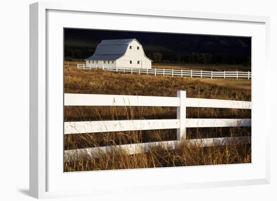 White Bitterroot Barn-Jason Savage-Framed Art Print