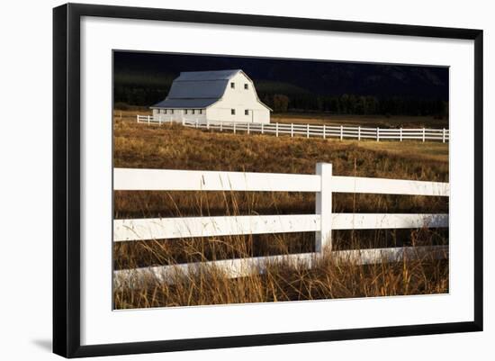 White Bitterroot Barn-Jason Savage-Framed Art Print