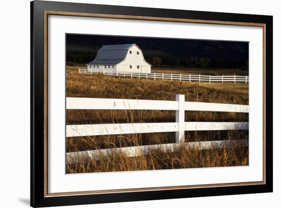 White Bitterroot Barn-Jason Savage-Framed Art Print