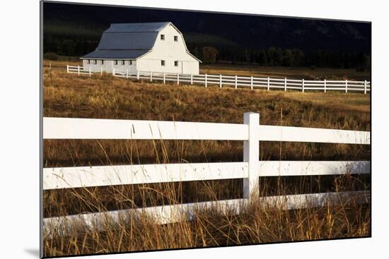 White Bitterroot Barn-Jason Savage-Mounted Art Print