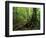 White Blaze Marks Appalachian Trail, White Mountains, New Hampshire, USA-Jerry & Marcy Monkman-Framed Photographic Print