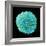 White Blood Cell-Steve Gschmeissner-Framed Premium Photographic Print