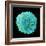 White Blood Cell-Steve Gschmeissner-Framed Premium Photographic Print