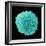 White Blood Cell-Steve Gschmeissner-Framed Premium Photographic Print