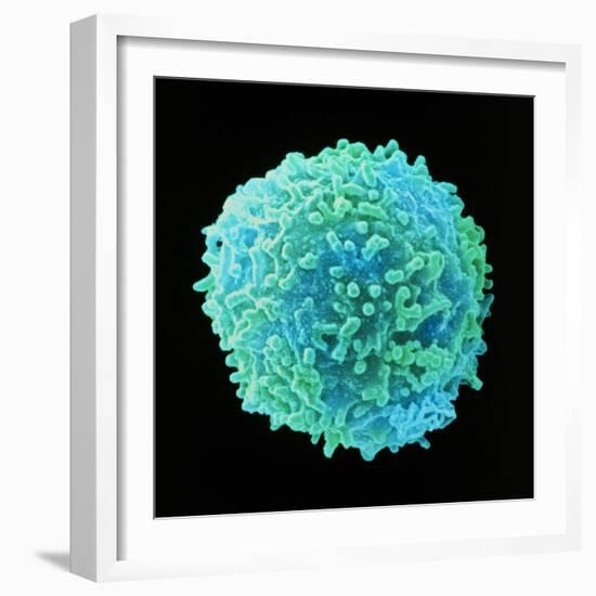 White Blood Cell-Steve Gschmeissner-Framed Premium Photographic Print