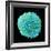 White Blood Cell-Steve Gschmeissner-Framed Premium Photographic Print