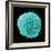 White Blood Cell-Steve Gschmeissner-Framed Premium Photographic Print