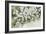 White Bloom Garden-Asia Jensen-Framed Art Print